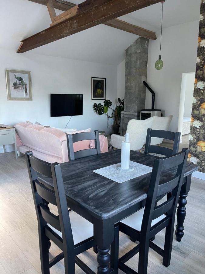 Cosy Apartment With Fire Stove Athlone Buitenkant foto
